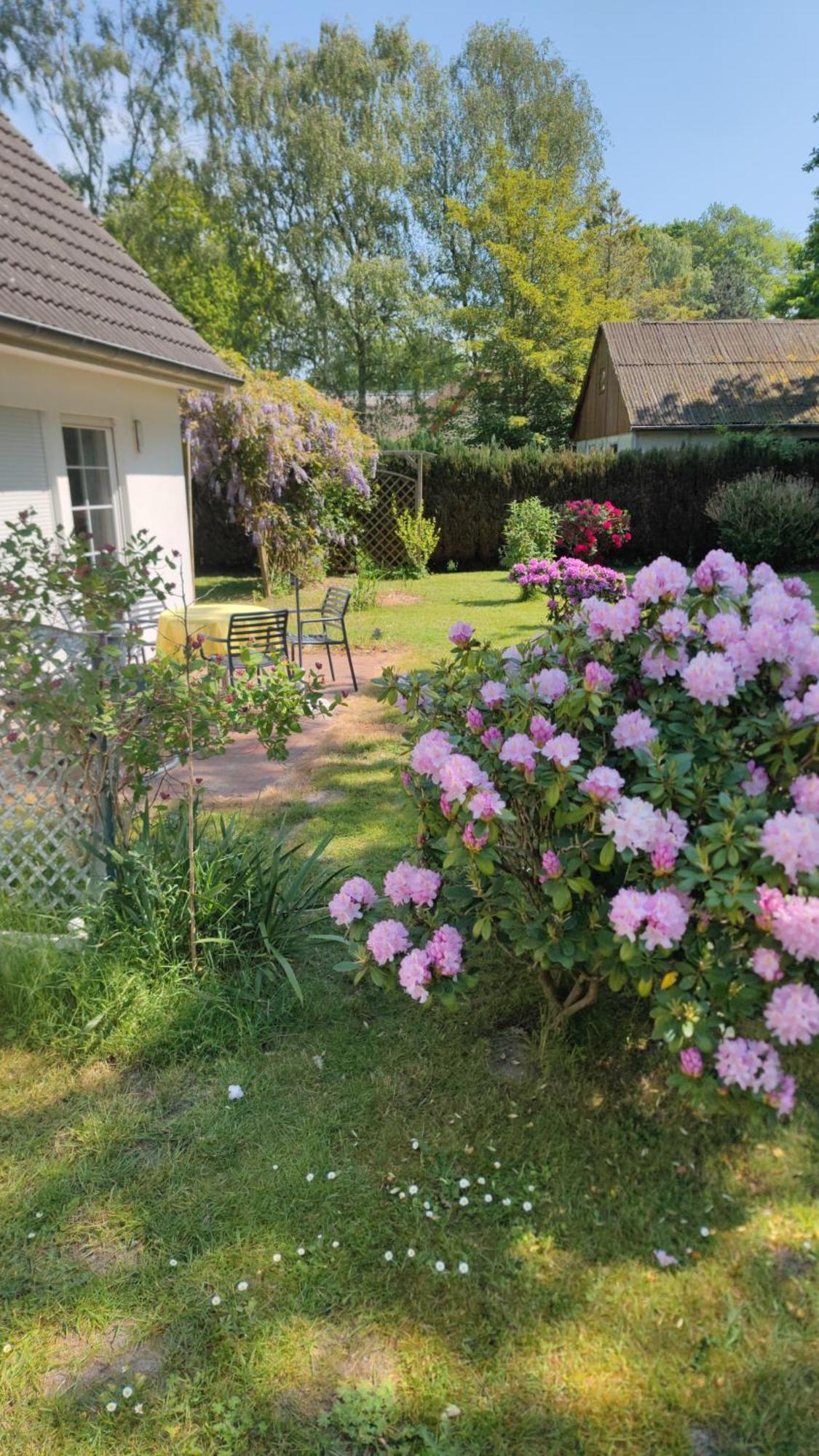 Haus Erika * Prerow